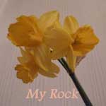 My Rock